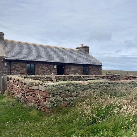 The Ruah - Clifftop Retreat Whitehall Exteriör bild