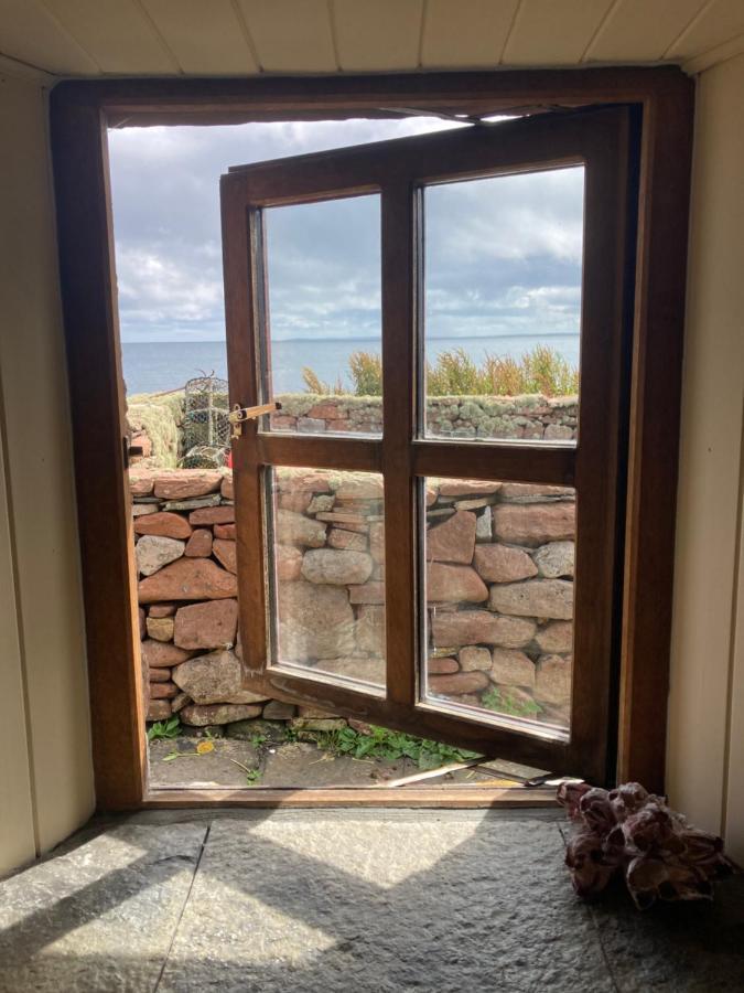The Ruah - Clifftop Retreat Whitehall Exteriör bild
